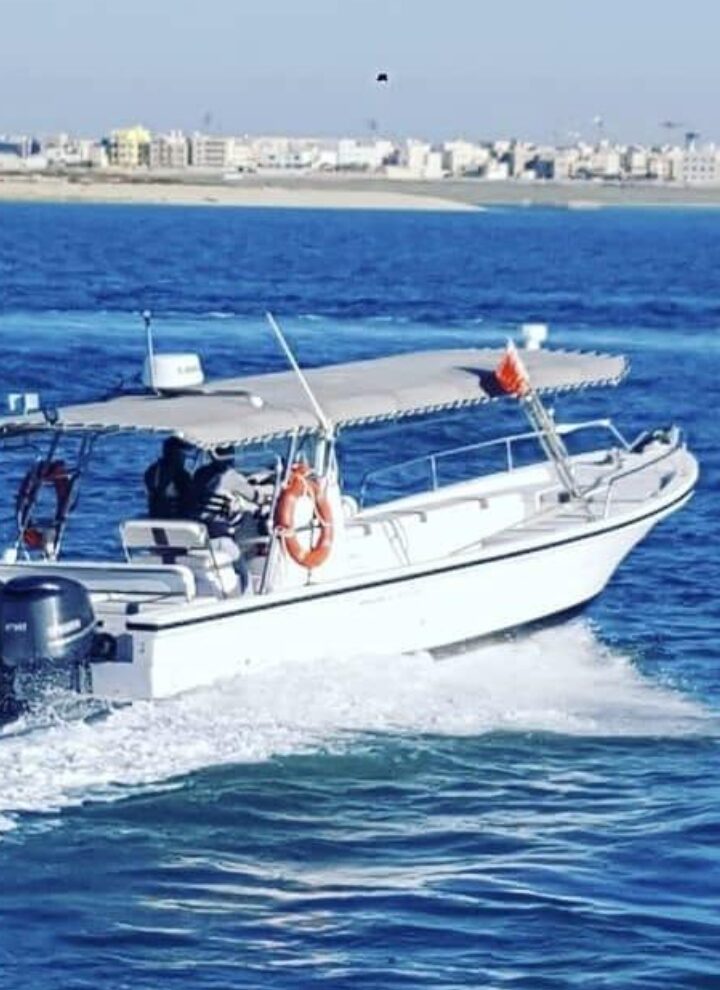 WhatsApp Image 2025-04-28 at 1.01.38 PM