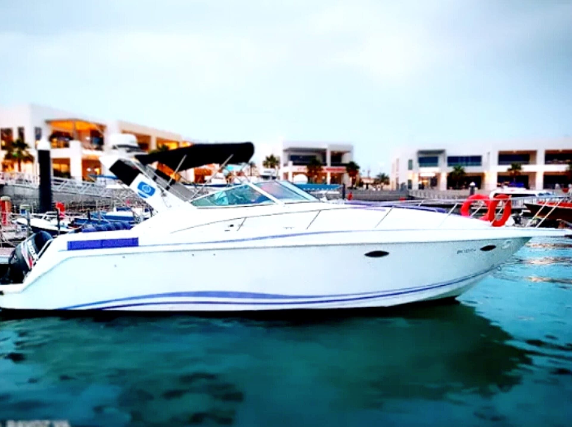 WhatsApp Image 2025-04-29 at 12.55.36 PM